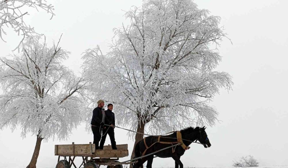 Doğu Anadolu’nun yüksek kesimlerinde kar yağışı
